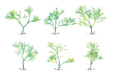 Yosun Yosun Yosun El Taşlı Su Bitkisi Vektör 'de Siluet ile beyaza sabitlendi