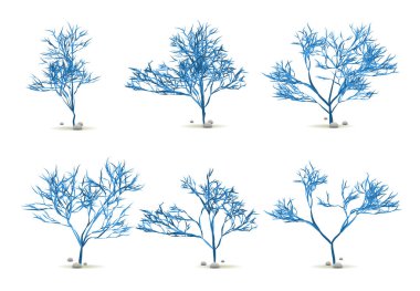 Yosun Yosun Yosun El Taşlı Su Bitkisi Vektör 'de Siluet ile beyaza sabitlendi