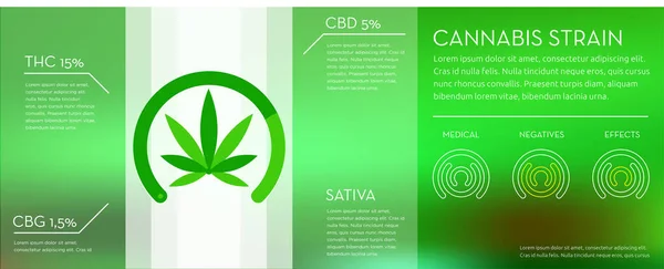 Cannabis Stam Profiel Grafiek Cbd Thc Cbg Medische Negatieve Effecten — Stockvector