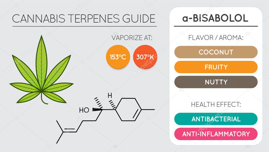 Cannabis Terpene Guide Information Chart. Aroma and Flavor with Health Benefits and Vaporize Temperature. Vector. 