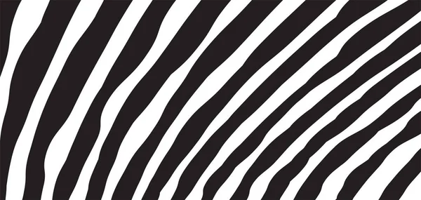 Wild Zebra Wave Pattern Black White Trendy Stylish Abstract Background — Stock Vector