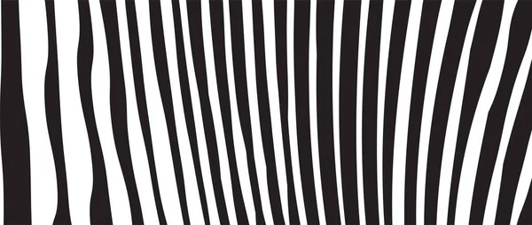 Wild Zebra Wave Pattern Black White Trendy Stylish Abstract Background — Stock Vector