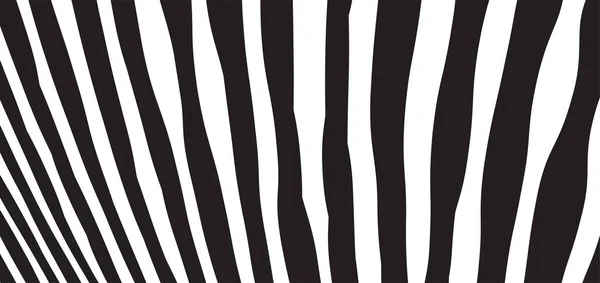 Wild Zebra Wave Pattern Mustavalkoisella Trendikäs Tyylikäs Abstrakti Tausta — vektorikuva