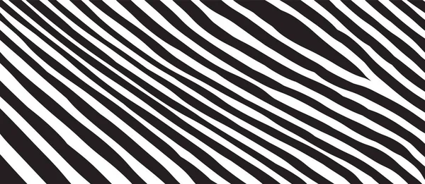 Padrão Onda Zebra Selvagem Com Preto Branco Fundo Abstrato Elegante — Vetor de Stock