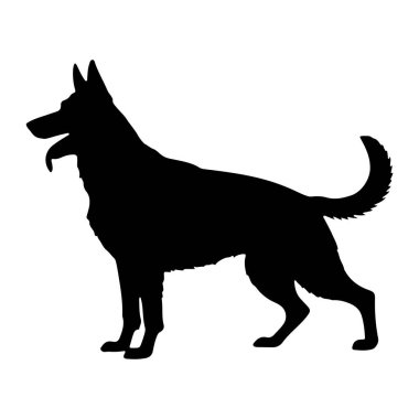 Beyaz arka planda duran siyah bir köpek silueti. Köpek ağzı hafif açık ve dili görünür bir şekilde sola bakıyor. Kulakları diktir ve kuyruğu yukarı doğru kıvrılmıştır. Siluet açıkça köpeğin vücudunu, bacaklarını ve patilerini tanımlıyor..