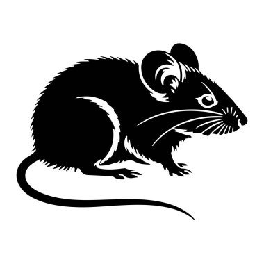 Beyaz arka planda siyah bir kemirgen silueti tasvir edilir. Hayvan profilden gösteriliyor, yüzü sağa dönük, kuyruğu kıvrılmış. Görünür detaylar arasında büyük kulakları, belirgin bıyıkları, küçük gözleri ve pençeli pençeleri yer alıyor. Siluet...