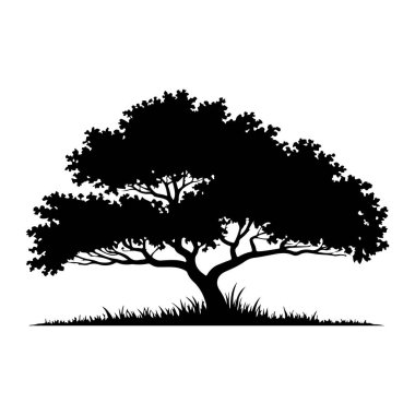 Geniş bir yaprak örtüsü ve dalları çimlerin üzerinde uzanan olgun bir ağacın siyah silueti. Arkaplan bembeyaz, katıksız bir kontrast oluşturuyor. Görüntü, gözle görülür bir detayı olmayan, bir ağacın stilize edilmiş bir temsili.