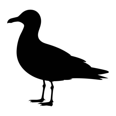 Bir martının saf siyah silueti düz beyaz bir arka planda sunulur. Kuş profilden tasvir edilir, yüzü sola dönük, gagası hafifçe açık. Kanatları vücuduna katlanır, bacakları ve perdeli ayakları açıkça görülebilir.