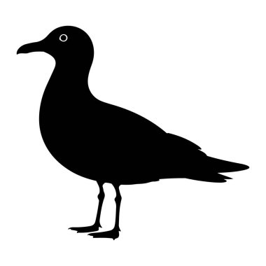 Bir martının katıksız siyah silueti temiz beyaz bir arkaplanda resmedilir. Profilde iki bacağının üzerinde duran ve kanatlarını gövdesine yaklaştıran kuş görülüyor. Gagası öne dönük ve tek bir beyaz daire onun... 