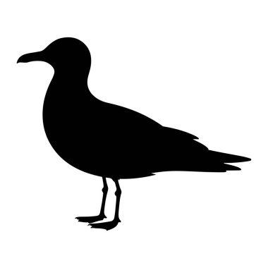 Bir martının katıksız siyah silueti, temiz beyaz bir arkaplana karşı profilde yer alır. Kuş, gagasını ve boynunun kıvrımlarını sergileyerek başını hafifçe sola çevirerek tasvir edilir. Vücudu tombul, görünür kanatları katlanmış agai