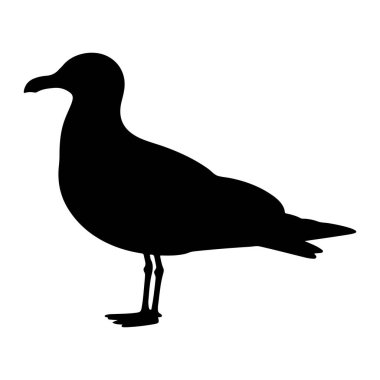 Bir martının katıksız siyah silueti temiz beyaz bir arkaplanda resmedilir. Profilde, ayakları görünür bir şekilde ayakları üzerinde duran kuş görülüyor. Gagası, kanatları ve kuyruğu açık bir şekilde koyu siyah şekille tanımlanır. Görüntü çok az.