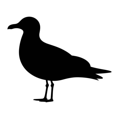 Bir martının katıksız siyah silueti temiz beyaz bir arkaplanda resmedilir. Profilde, gagası sola dönük iki bacağının üzerinde duran kuş görülüyor. Kanatları gövdesine yakın takılır ve kuyruk tüyleri görünür. T