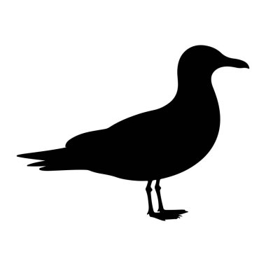 Bir martının katıksız siyah silueti temiz beyaz bir arkaplanda resmedilir. Profilde, ayakları görünür bir şekilde ayakları üzerinde duran kuş görülüyor. Kanatları gövdesine yakın takılır ve kuyruk tüyleri hafifçe yayılır. Şey...