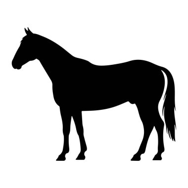 Beyaz bir arka planda siyah bir at silueti profilde duruyor. At gösterişli, kaslı bir yapısı, dalgalı bir kuyruğu ve dengeli bir duruşu ile tasvir edilir. Görüntü, hayvanın temiz ve grafik bir temsilidir..