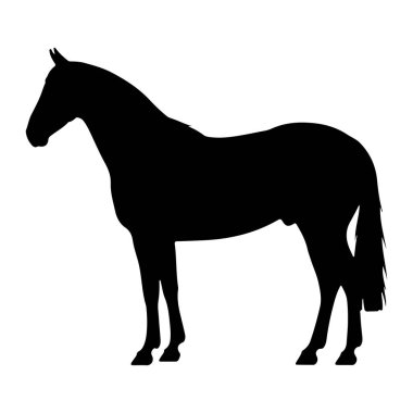 Saf siyah bir at silueti düz beyaz arka planda tasvir edilir. At profilden gösteriliyor, başı dik ve kuyruğu havada duruyor. Taslak temiz ve keskindir, hayvanın biçimini ve kas yapısını vurgular.