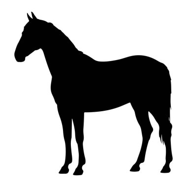 Saf siyah bir at silueti, beyaz bir arka plana karşı profil oluşturur. At, başı dik ve kuyruğu akarken sabit bir şekilde tasvir edilir. Taslak temiz ve keskindir. Hayvanın şeklini ve kas yapısını vurgular.