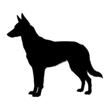 Ayakta duran bir köpeğin katı siyah silueti düz beyaz bir arka plana karşı tasvir edilir. Köpek profilden gösteriliyor, sola bakıyor, başı yukarıda ve kulakları yukarda, tetikte olduğunu gösteriyor. Vücudu zayıf ve kaslı, çalı bir tai ile.