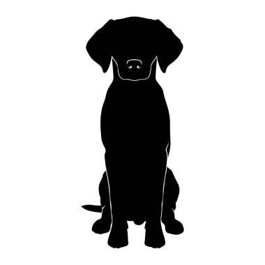 Siyah bir köpek silueti beyaz bir arka plana karşı karşıya oturur. Köpeğin sarkık kulakları, görünür bir kuyruğu ve patileri önünde yer almaktadır. İnce beyaz çizgiler köpeğin yüz hatlarını tanımlar, burnu, ağzı ve...