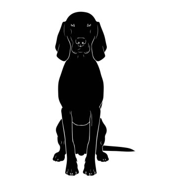 Beyaz arka plana karşı dik duran siyah bir köpek silueti tasvir edilir. Köpek, kulakları aşağı sarkmış ve kuyruğu yana doğru uzanmış olarak ileri bakar. Köpeğin gözleri, burnu ve pençeleri de dahil olmak üzere ince beyaz çizgiler ana hatlarını belirler.,