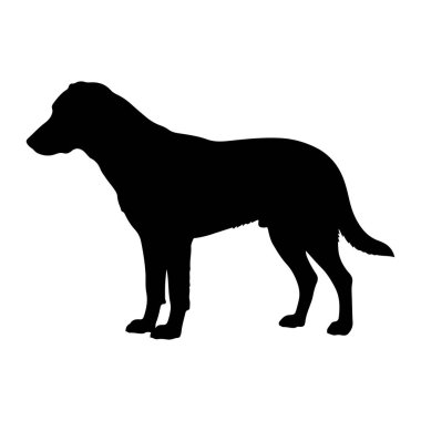 Siyah bir köpek silueti beyaz bir arkaplan karşısında duruyor. Köpek, başı sola dönük, tetikte bir şekilde tasvir edilir. Vücudu, bacakları, kuyruğu ve başı da dahil olmak üzere şeklini belirleyen net hatları olan koyu siyahtır. Şey...