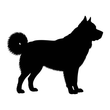 Siyah bir köpek silueti beyaz bir arkaplan karşısında duruyor. Köpeğin sırtına kıvrılmış gür bir kuyruğu, dik kulakları ve siluetin sivri kenarları tarafından önerilen kalın bir ceketi vardır. Vücudu kaslı ve duruşu tetikte.