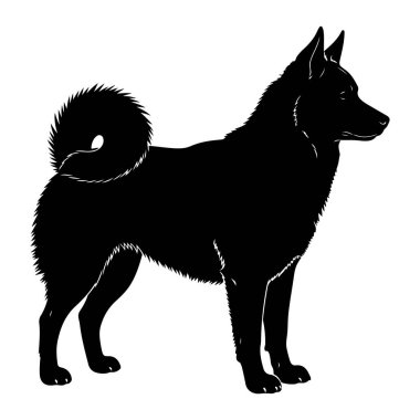 Siyah bir köpek silueti beyaz bir arkaplan karşısında duruyor. Köpeğin sivri kulakları, sivri kenarları tarafından önerilen kalın bir palto ve sırtında kıvrık bir çalı kuyruğu vardır. Pençeleri açıkça tanımlanmış, ve kafası hafifçe ri ye dönük.