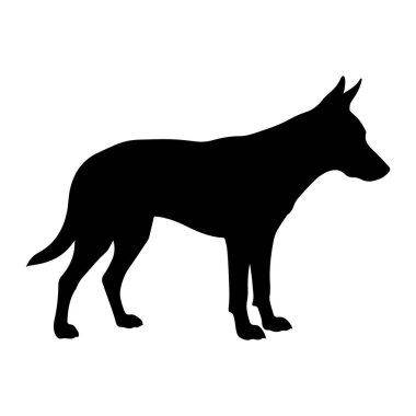 Siyah bir köpek silueti beyaz bir arkaplan karşısında duruyor. Köpeğin bedeni sola dönük, başı hafifçe sağa dönük ve kulakları yukarı doğru tetikte bir şekilde tasvir edilir. Kuyruğu arkasında uzanıyor. Silh.