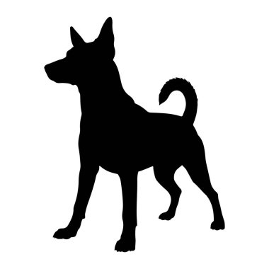 Beyaz arka planda duran siyah bir köpek silueti. Köpek profil ile tasvir edilir, yüzü sola dönük, kulakları yukarıya dönük ve kuyruğu kıvrılmış. Vücudu simsiyahtır ve beyaz arkaplana karşı katıksız bir kontrast yaratır. Poz gösteriyor ki...