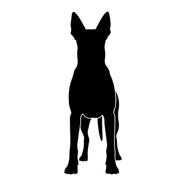 Siyah bir köpek silueti düz beyaz bir arka plana karşı karşıya duruyor. Köpeğin sivri kulakları dik, görünür bir kuyruğu var ve dört bacağı sıkıca yere dikilmiş. Köpeğin ana hatları keskin ve belirgin. Bu da bir ışık yayıyor.