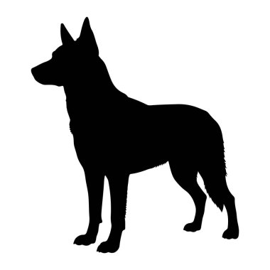 Beyaz arka planda duran siyah bir köpek silueti. Köpek başını hafifçe öne çevirmiş bir şekilde sola bakıyor. Dik kulakları, kaslı bir vücudu ve görünür pençeleri olan dört bacağı vardır. Siluet, kürk dokusunun ana hatlarını yakalıyor. 