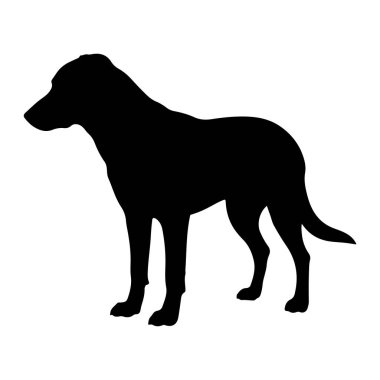 Katı siyah bir köpek silueti beyaz bir arka planda duruyor. Köpek profilden tasvir edilir, yüzü sola dönük, başı dik ve kulakları tetikte. Vücudu zayıf ve kaslıdır, dört ayağı yere sağlam basar ve kuyruğu hafifçe uzar.