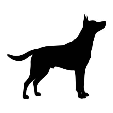 Siyah bir köpek silueti beyaz bir arkaplan karşısında duruyor. Köpek, başı yukarıda ve kulakları yukarıya dönük bir şekilde tasvir edilir, bu da dikkatli bir duruş veya uyarı göstermektedir. Vücudu yağsız, arkasında bir kuyruk var. Şey...