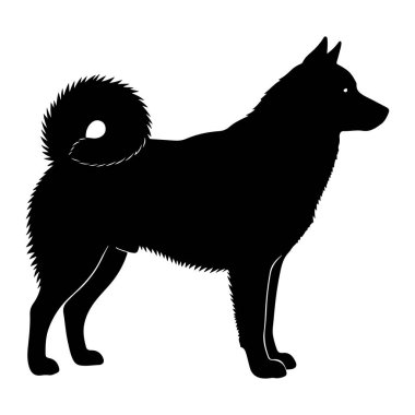 Siyah bir köpek silueti beyaz bir arkaplan karşısında duruyor. Köpeğin dikleşmiş kulakları, sırtında kıvrık bir kuyruğu ve tüylü olduğunu gösteren detaylı bir taslağı var. Gözleri küçük beyaz oval olarak tasvir edilir. Siluet keskin ve temiz.,