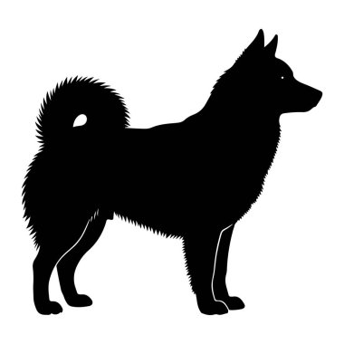 Siyah bir köpek silueti beyaz bir arkaplan karşısında duruyor. Köpeğin dikleşmiş kulakları, sırtında kıvrık bir kuyruğu var ve tetikte görünüyor. Siluet, köpeğin tüylü dokusunu ve farklı cins özelliklerini vurguluyor..