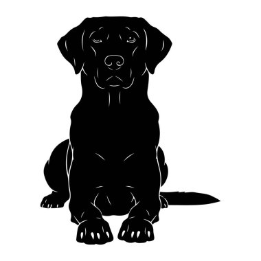 Labrador köpeğinin siyah bir silueti beyaz bir arka planda dikkatlice otururken resmedilir. Köpeğin ana hatları keskin ve belirgindir. Gözler, burun ve ağız gibi yüz hatlarının yanı sıra pençelerindeki ayrıntıları gösteren ince beyaz çizgiler vardır. 