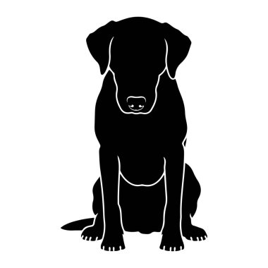 Labrador köpeğinin siyah bir silueti beyaz bir arka planda dik otururken resmedilir. Köpeğin dış çizgisi açık bir şekilde bembeyaz olarak tanımlanır, sarkık kulaklar, belirgin bir burun ve ön pençeler gibi özelliklerini vurgular. Köpek doğrudan ona bakıyor.