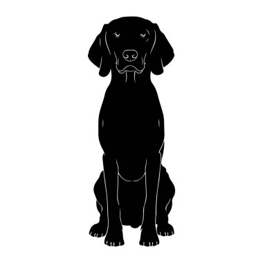 Beyaz arka planda dik oturan siyah bir köpek silueti. Köpeğin ana hatları ince beyaz çizgilerle tanımlanır ve sarkık kulakları, burnu ve pençeleri gibi özelliklerini vurgular. Köpek tetikte ve tam karşıya bakıyor..