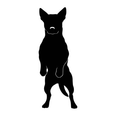 Siyah bir köpek silueti beyaz bir arka plana karşı arka ayaklarının üzerinde duruyor. Köpeğin sivri kulakları ve hafif bir gülümsemesi var. Ağızlığındaki beyaz bir çizgiden anlaşılıyor. Ön pençeleri şakacı ya da tetikte durur..