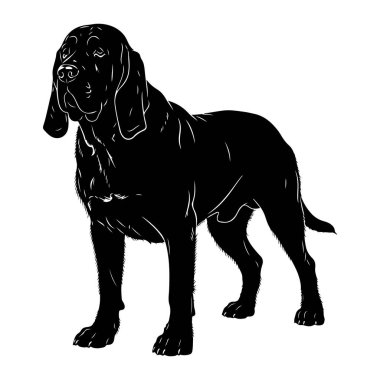 Beyaz arka planda duran siyah bir köpek silueti. Köpek tüm vücudu ile tasvir edilir, başını hafifçe izleyiciye doğru çevirmiş bir şekilde sola bakar. Beyaz çizgiler köpeğin şeklini özetliyor, sarkık kulakları gibi, buruşuk. 