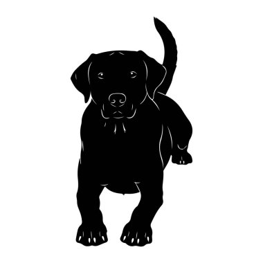 Beyaz arka planda bir Labrador köpeğinin siyah silueti tasvir edilir. Taslak stili, köpeğin sarkık kulakları, anlamlı gözleri ve kıvrık kuyruğu da dahil olmak üzere özelliklerini vurgular. Köpek dört ayak üstünde duruyor gibi görünüyor, doğrudan bakıyor.