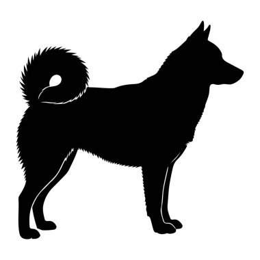 Siyah bir köpek silueti beyaz bir arkaplan karşısında duruyor. Köpeğin gür, kıvrık bir kuyruğu var. Yüksek ve sivri kulakları var. Vücudu pürüzsüz ve bacakları sanki ayakta duruyormuş gibi duruyor. Taslak keskin ve tanımlı..