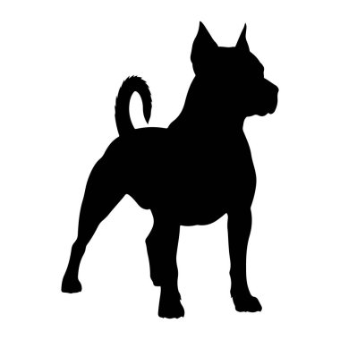 Kaslı bir köpeğin siyah silueti beyaz bir arka planda duruyor. Köpek profilden resmedilmiş, sağa dönük. Küçük bir yapısı, sivri kulakları ve kısa kıvrık bir kuyruğu vardır. Duruşu tetikte ve hazır olduğunu gösteriyor..