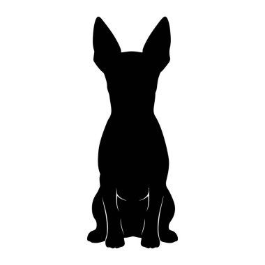 Siyah bir köpek silueti bembeyaz bir zemine karşı dik otururken resmedilir. Köpeğin büyük, sivri kulakları, ince bir boynu ve daracık bir vücudu vardır. Ön patileri görülebiliyor, yerde dinleniyor ve ana hatlarına bakılırsa, bir kuyruk sıkıştırılmış b...