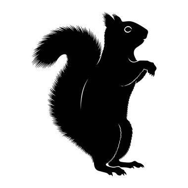 Siyah bir sincap silueti, arka ayakları üzerinde düz beyaz bir arka plana karşı dik durur. Sincabın yukarı ve sola doğru kıvrılan büyük, gür bir kuyruğu vardır. Ön pençeleri göğsüne yakın tutulur ve başı sağa döner.