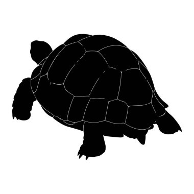 Beyaz arka planda siyah bir kaplumbağa silueti tasvir edilir. Kaplumbağanın kabuğu, geometrik bir mozaik etki yaratan ince beyaz çizgilerle özetlenmiş segmentli bir desenle açıkça tanımlanır. Başı, bacakları ve kuyruğu da öyle.