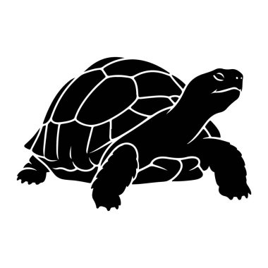 Beyaz arka planda siyah bir kaplumbağa silueti tasvir edilir. Kaplumbağa profilden gösteriliyor, başı yukarıda ve sağa bakıyor. Kabuğu beyaz çizgilerle segmentlidir ve belirgin bir desen oluşturur. Bacakları ve ayakları da. 