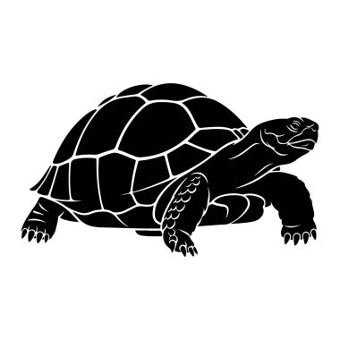 Beyaz arka planda siyah bir kaplumbağa silueti tasvir edilir. Kaplumbağa profilden gösterilir, başı açılır ve bacakları ve pençeleri görünür olur. Kabuğun beyazla çizilmiş bölümlenmiş bir deseni var..