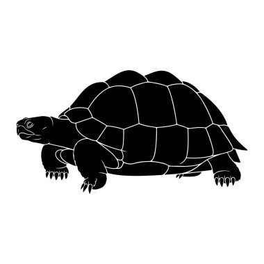 Beyaz arka planda siyah bir kaplumbağa silueti tasvir edilir. Kaplumbağanın ana hatları ince beyaz çizgilerle tanımlanır. Kabuk farklı çokgen şekillere ayrılır. Baş, bacaklar ve pençeler de siluette görünür..