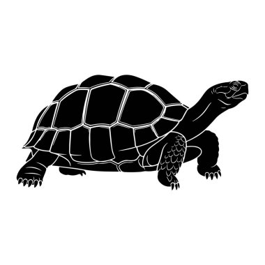 Beyaz arka planda siyah bir kaplumbağa silueti tasvir edilir. Kaplumbağa profilden gösteriliyor, kafası uzanıyor ve sağa bakıyor. Kabuğu altıgen desenli ve bacakları ve pençeleri açıkça görülüyor. Şey...