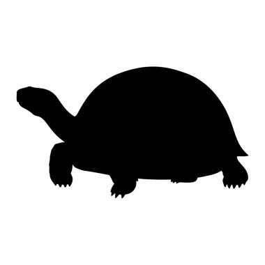 Beyaz arka planda siyah bir kaplumbağa silueti tasvir edilir. Kaplumbağa, başı öne doğru açılmış ve ayakları sanki yürüyormuş gibi konumlanmış bir şekilde profilden gösterilmektedir. Kabuğu yuvarlak ve çıkıntılı, bacakları ve ayakları açık bir şekilde def